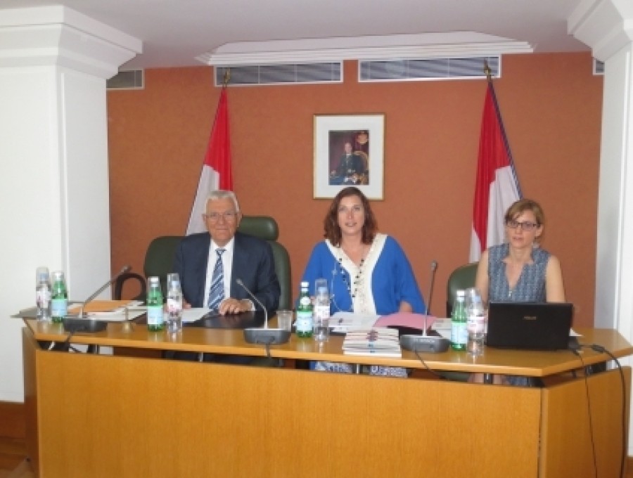 Meeting with the Economic and Social Council